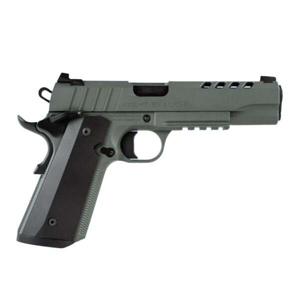 1010051279f1 1 TISAS 1911 NIGHT STALKER GRY 45ACP