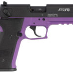 112661 GSG GERG2210FFL FireFly 22 LR 10+1 4" Black Serrated Slide, Purple Zinc Alloy w/Accessory Rail Frame, Black Polymer Grip