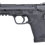 11663e2a9 SMITH AND WESSON M&P380 SHIELD EZ 380ACP SAFETY