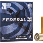 117009 1 Federal H20475 Game-Shok High Brass 20 Gauge 2.75" 1 oz 7.5 Shot 25 Per Box/ 10 Case