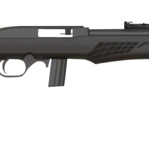 Rossi RS22 .22 LR rifle 18 inch threaded black synthetic Monte Carlo stock