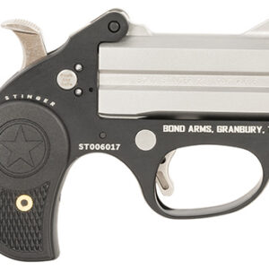 Bond Arms BAST Stinger .22 LR derringer with 3-inch stainless barrels and black nylon grip