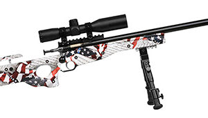 Keystone Sporting Arms Crickett Precision .22 LR 16.12" thumbhole stock blued finish