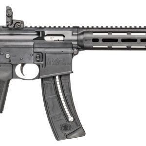 Smith & Wesson M&P15-22 .22 LR rifle with B5 Bravo stock and M-LOK handguard