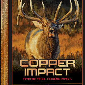 Winchester Ammo X300CLF2 Copper Impact  300 Win Mag 180 gr Copper Extreme Point Lead Free 20 Per Box/ 10 Case