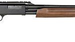 149782 Mossberg 54143 500 Exclusive Configuration 20 Gauge Pump 5+1 24" Blued Steel Barrel, Blued Receiver w/Integral Scope Base, Wood Fixed Dual Comb Bantam Stock, Right Hand