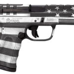 151425 Citadel CITCP9USGCAN Centurion 9mm Luger 14+1, 4" Black Steel Barrel, American Flag Gray Cerakote Optic Ready/Serrated Slide, Polymer Frame & Grip, Features Matching Ammo Can