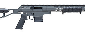 Citadel CITTPN223GRY Taipan X Pump Action 223 Wylde 10+1 16.50" Stainless Threaded, Dark Gray, M-Lok Handguard, Chassis with Skeletonized Stock, A2 Style Grip, Flat-Face Trigger