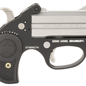 Bond Arms Stinger .22 LR derringer grey with black grips stainless double barrel