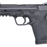 1800239999 SMITH AND WESSON M&P380 SHIELD EZ 380ACP NTS