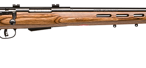 Savage 25 Lightweight Varminter-T .204 Ruger 24-inch thumbhole laminate rifle