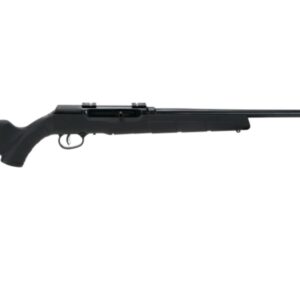 Savage A22 .22 LR rifle with matte black synthetic stock and blued finish