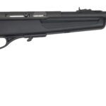 51158bf78 ROCK ISLAND ARMORY CMPT SEMI AUTO 22LR BLACK