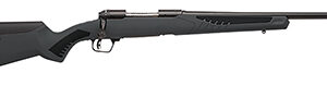 Savage 110 Hunter .243 Winchester 22-inch rifle with gray synthetic AccuStock and matte black barrel