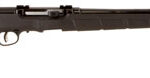 5241 Savage Arms 47007 A17 Semi-Auto 17 HMR Caliber with 10+1 Capacity, 22" Heavy Barrel, Satin Black Metal Finish & Matte Black Synthetic Stock Right Hand (Full Size)