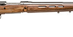 52939 Savage Arms 18516 12 BTCSS 223 Rem Caliber with 4+1 Capacity, 26" Barrel, Matte Stainless Metal Finish & Satin Brown Fixed Thumbhole Stock Right Hand (Full Size) Includes Detachable Box Magazine