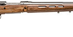 52940 Savage Arms 18517 12 BTCSS 204 Ruger Caliber with 4+1 Capacity, 26" Barrel, Matte Stainless Metal Finish & Satin Brown Fixed Thumbhole Stock Right Hand (Full Size) Includes Detachable Box Magazine