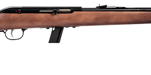 Savage 64G .22 LR semi-auto rifle with blued barrel and hardwood stock
