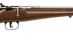 78646 Savage Arms 13815 Rascal 22 LR Caliber with 1rd Capacity, 16.12" Barrel, Blued Metal Finish & Satin Hardwood Stock Right Hand (Youth)