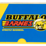 82104 Buffalo Bore Ammunition 20F20 Buffalo-Barnes Strictly Business 38 Special +P 110 gr Barnes TAC XP Lead Free 20 Per Box/ 12 Case