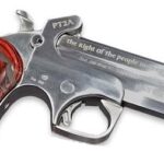 BAPT2A45410 BOND ARMS 2ND AMENDMENT 45LC/410 4.25"