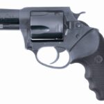 CH14420 CHARTER ARMS BULLDOG 44SPC BL 2.5"