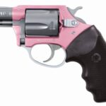 CH53830 CHARTER ARMS PINK LADY 38SPC PINK/SS 2" 5RD