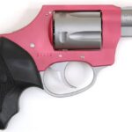 CH53831 CHARTER ARMS CHARTER PINK LADY 38SPC 2" DAO