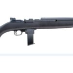 CI500.083 CHIAPPA FIREARMS M1-22 CARBINE 22LR BL/PLY 10RD