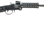 CI500092 CHIAPPA FIREARMS LITTLE BADGER 22LR 16.5"