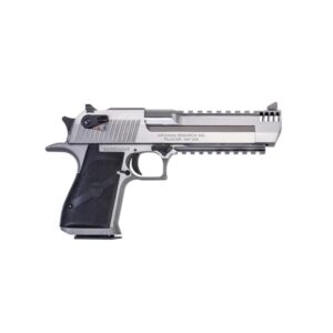 Magnum Research Desert Eagle Mark XIX 429DE 6-inch stainless pistol with Picatinny rail and black appointments