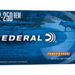 FE22250A 1 FED PWRSHK 22-250REM 55GR SP 20/200