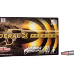 FELG30301 1 FED HMR DWN 30-30WIN 150GR SP 20/200