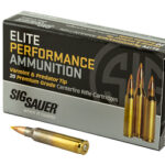 SGE223V1 1 SIG AMMO 223REM 40GR V&P 20/200