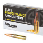 SGE300A1 1 SIG AMMO 300BLK 125GR OTM 20/500