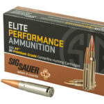 SGE300H1 1 SIG AMMO 300BLK 120GR ELT HNT 20/200