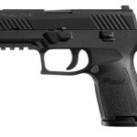 SI320C9BSS 1 SIG SAUER P320 CMPCT 45ACP NIT 9+1 NS