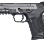 SM12437 SMITH AND WESSON M&P9 M2.0 SHIELD EZ 9MM NTS