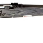 SV47008 SAVAGE ARMS A17 SPORTER 17HMR BL/LAM 22"