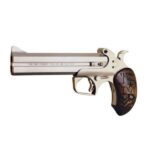 TEXAN BOND ARMS TEXAN 45LC/410 6" SS/WD