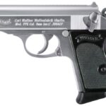 WA4796001 WALTHER ARMS PPK 380ACP SS 3.3" 6+1