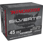 WNW45CST 1 WIN SIVERTIP 45COLT 225GR JHP 20/200