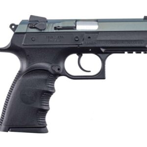 Magnum Research Baby Eagle .40 S&W semi-compact pistol, Northern Lights Cerakote, 3.85-inch barrel