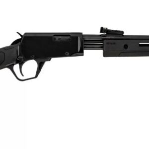 ROSSI GALLERY 22LR BK/SYN 18" 15+1