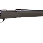 hgr731321346 HOWA HOGUE 308WIN BLK 22" TB