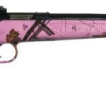 ksa2161 KEYSTONE SPORTING ARMS CRICKETT 22LR BL/PINK BLAZE