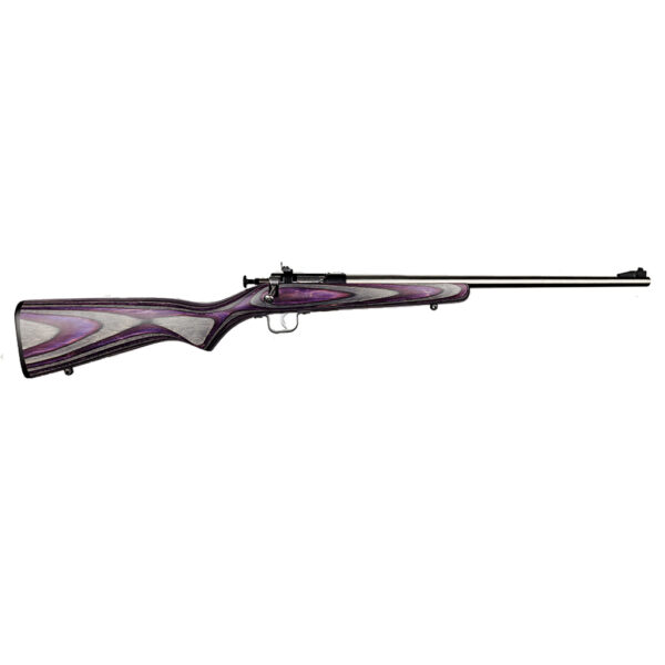 ksa2228purplelaminatess5a4e KEYSTONE SPORTING ARMS CRICKETT 22LR SS/PURPLE LAM