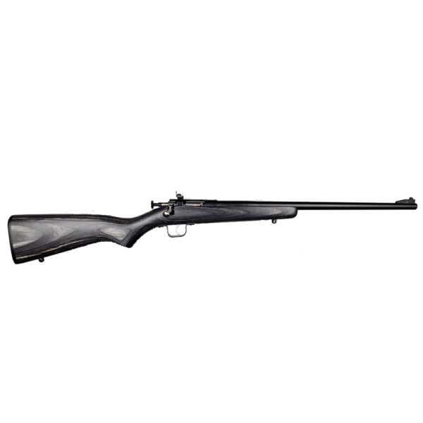 ksa2244blacklaminatebluedb037 KEYSTONE SPORTING ARMS CRICKETT 22LR BL/BLACK LAM