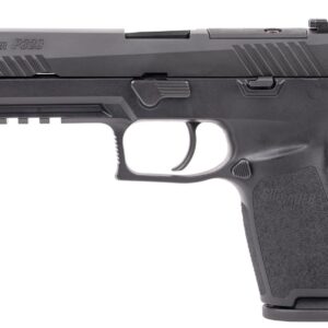 Sig Sauer P320 full-size 9mm pistol with 4.7 inch barrel and two 17-round magazines