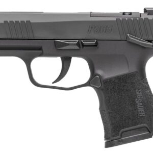 Sig Sauer P365 9mm 3.1 inch micro-compact pistol with XRAY3 sights and optic-ready slide